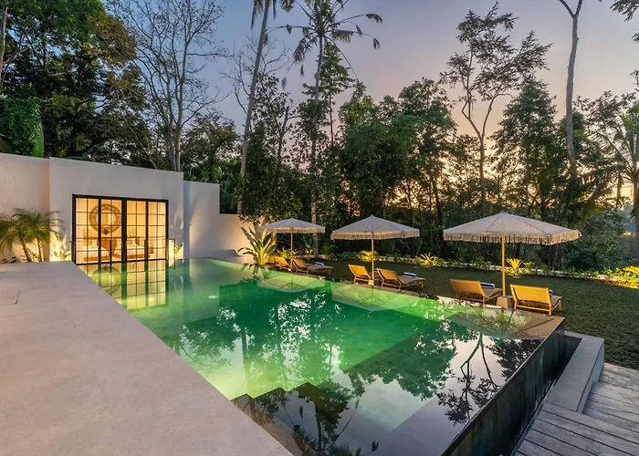 Fire Fly Ubud